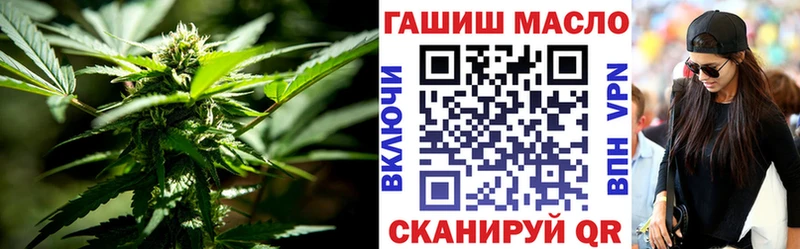продажа наркотиков  мориарти как зайти  ТГК THC oil  Североморск 