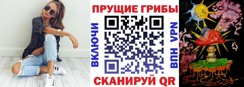 Галлюциногенные грибы мицелий  магазин    Североморск 